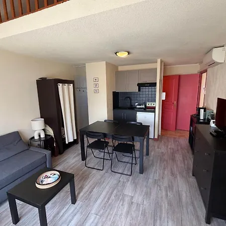 Le Petit Marius Duplex Climatise Avec Parking Au Grau-du-roi 公寓 *