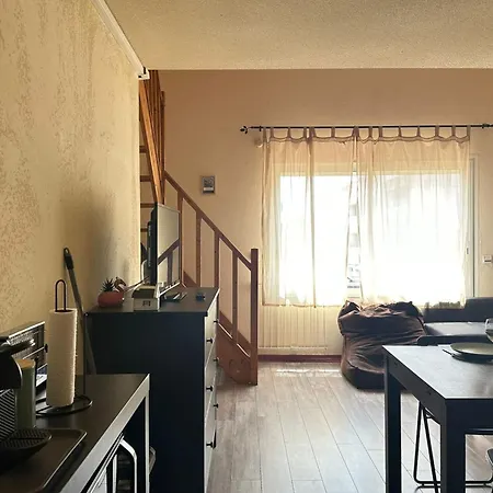 Le Petit Marius Duplex Climatise Avec Parking Au Grau-du-roi *